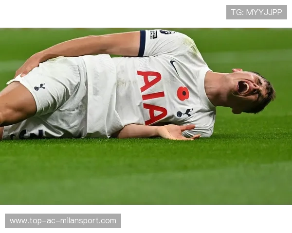 托特纳姆热刺：斯宾斯与范德文的悔过与未来展望